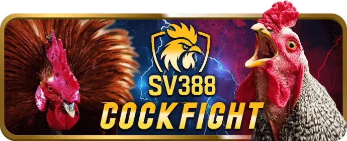 Cá cược Thể thao 6789bet